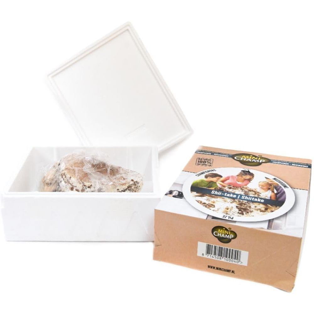 Thompson and Morgan Gift King Oyster Mushroom Prepack Windowsill Kit 3L Image 4