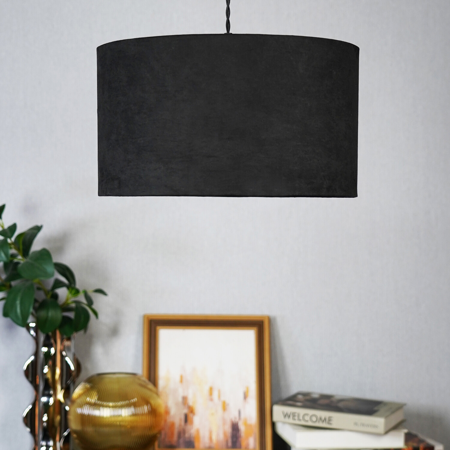 Black Zebra Shade - Black and White Image 9