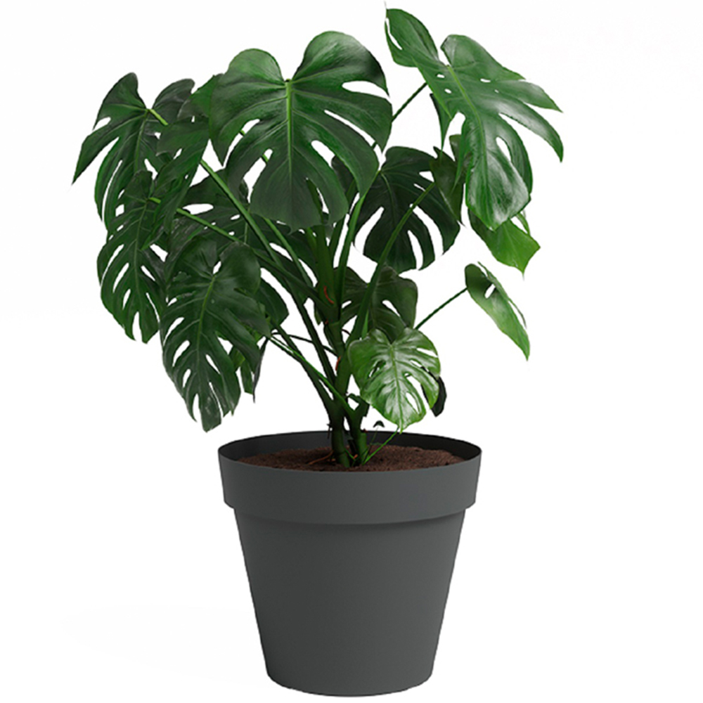 Artevasi Capri Anthracite Round Plastic Plant Pot 40cm Image 3