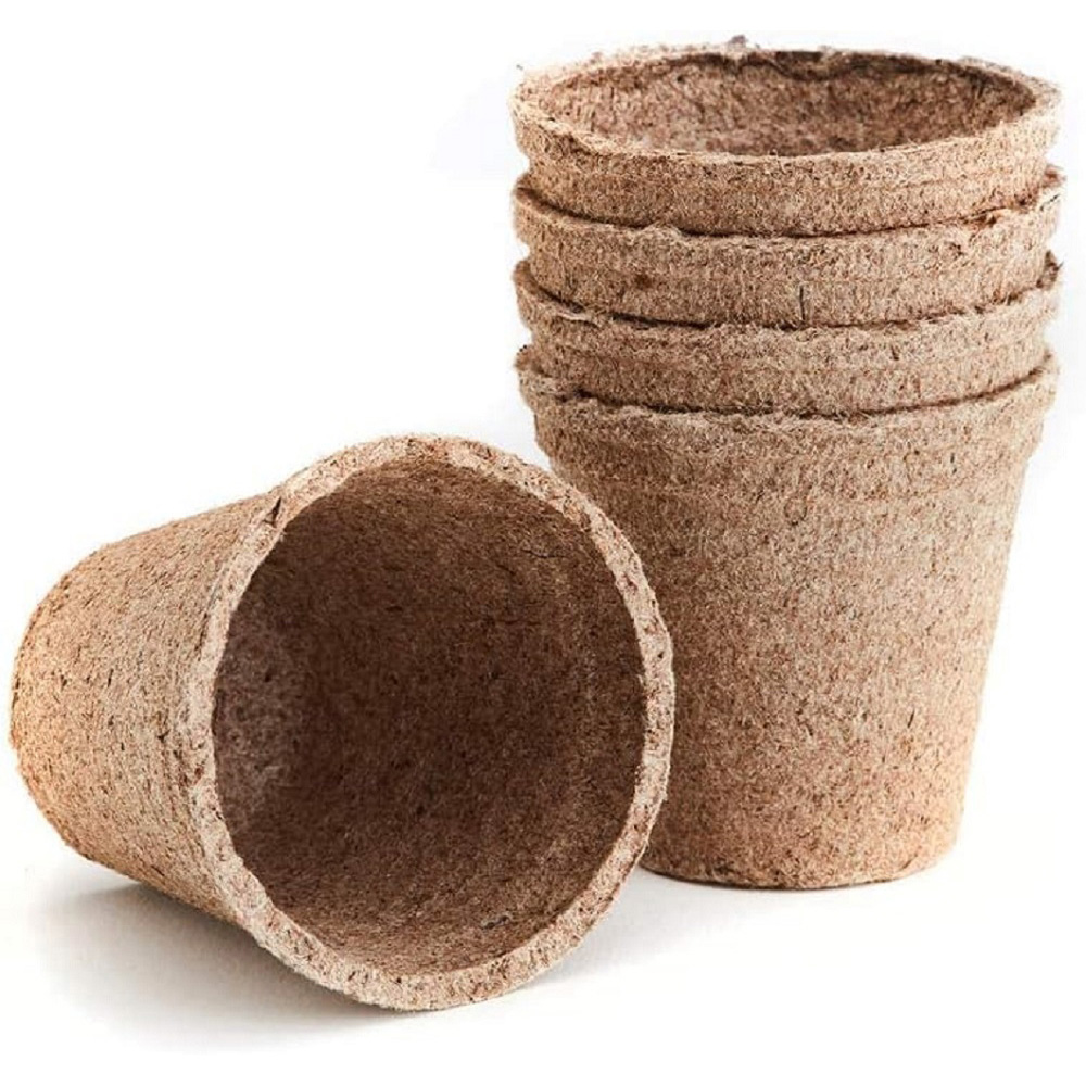 Thompson and Morgan Sweet Peas Seed Growing Kit Image 3