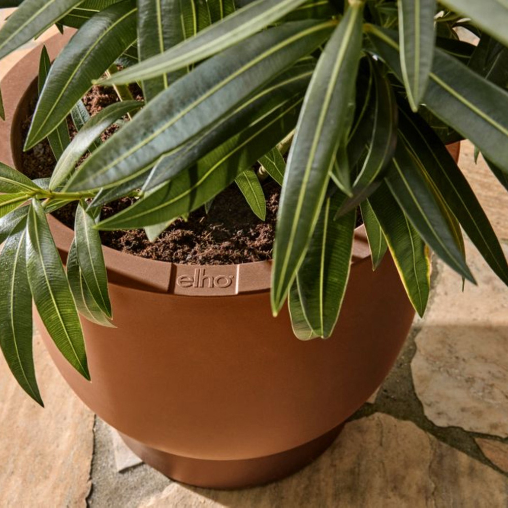 elho Amber Caramel Coupe Plastic Plant Pot 41cm Image 7