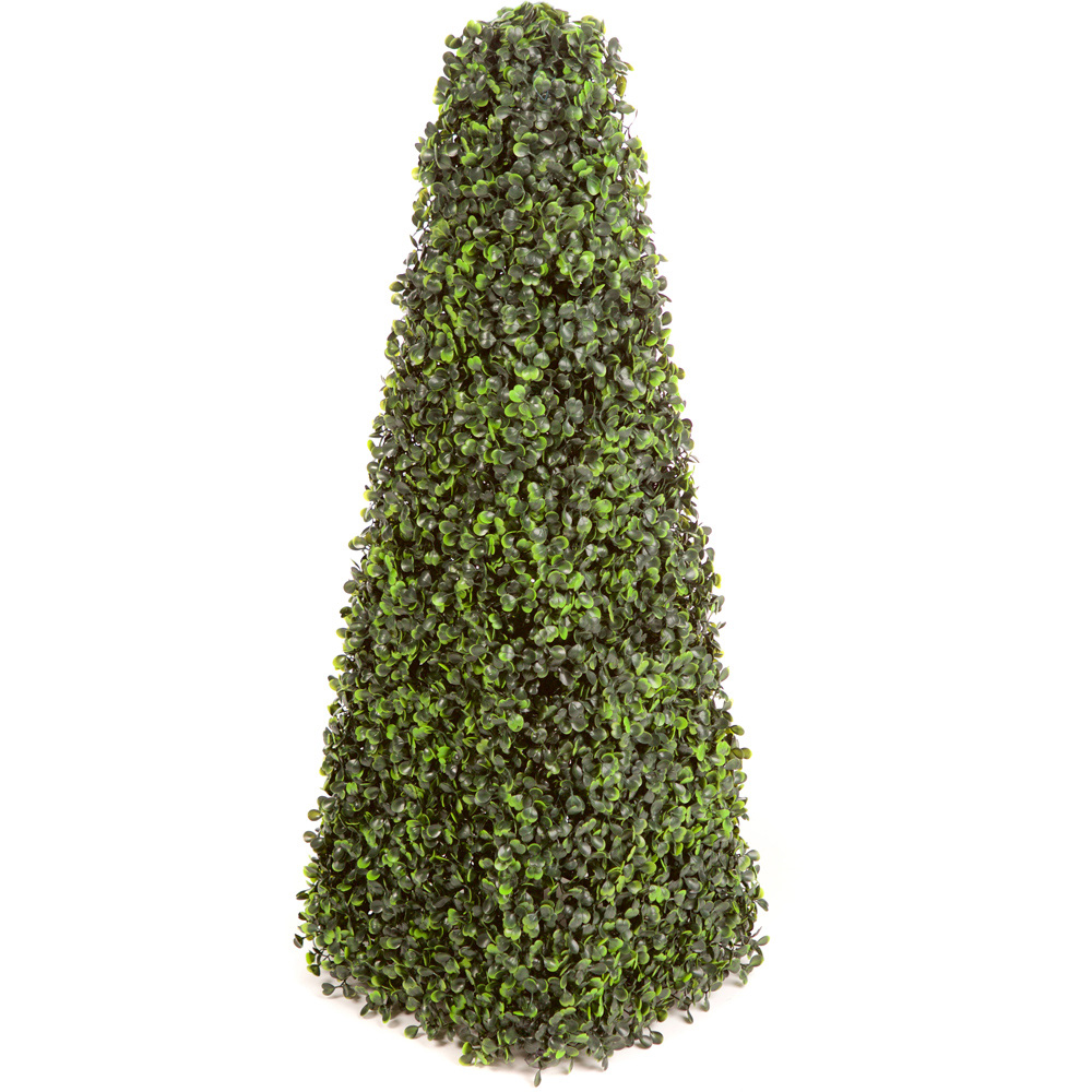 2ft Boxwood Pyramid Tree Image 3