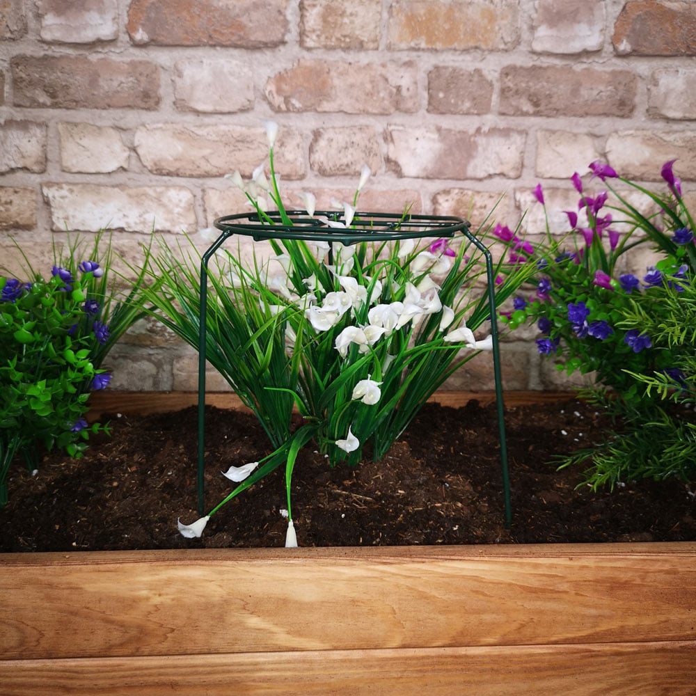 Samuel Alexander Tom Chambers Urban Dark Green Metal Herbaceous Garden Plant Support 3 Pack Image 2