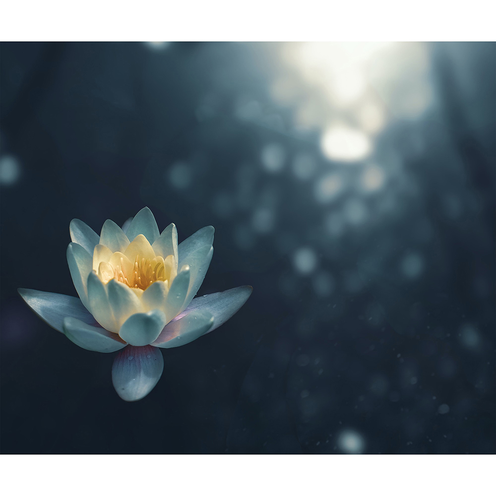 Mirrorstone Nexus Pond Lilly Picture Wi-Fi Infrared Heating Panel 1200W 995 x 1195mm  Image 4