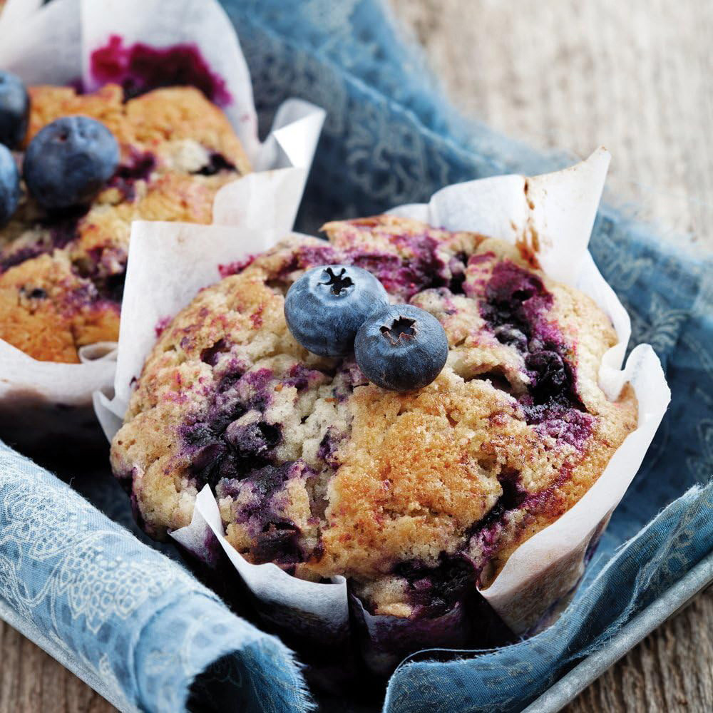 Thompson and Morgan Blueberry Brigitta Potted Plant 1.5L 2 Pack Image 4