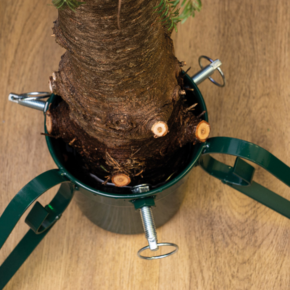 St Helens Large Ornate Real Christmas Tree Stand Image 4