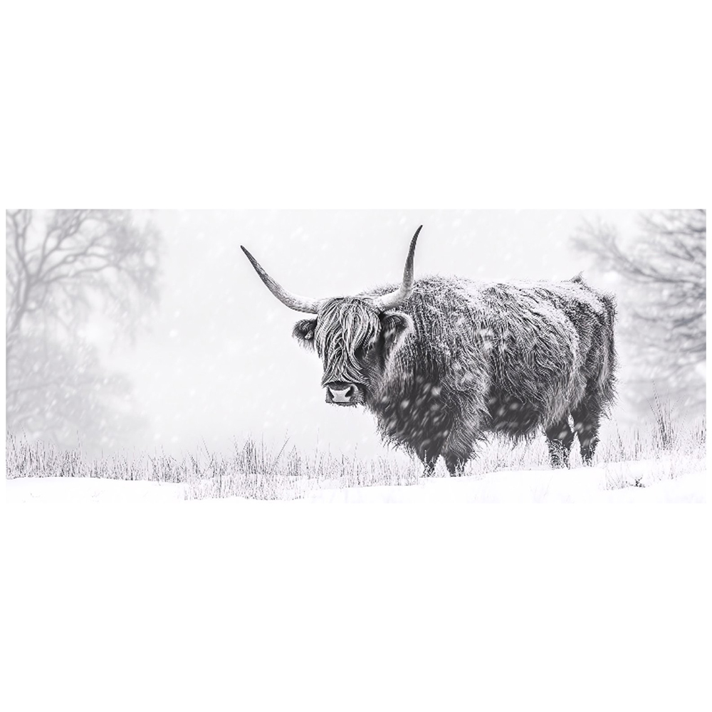 Warren Reed Designer Snowy Black and White Highland Cow Bathroom Splashback 25 x 60cm Image 2
