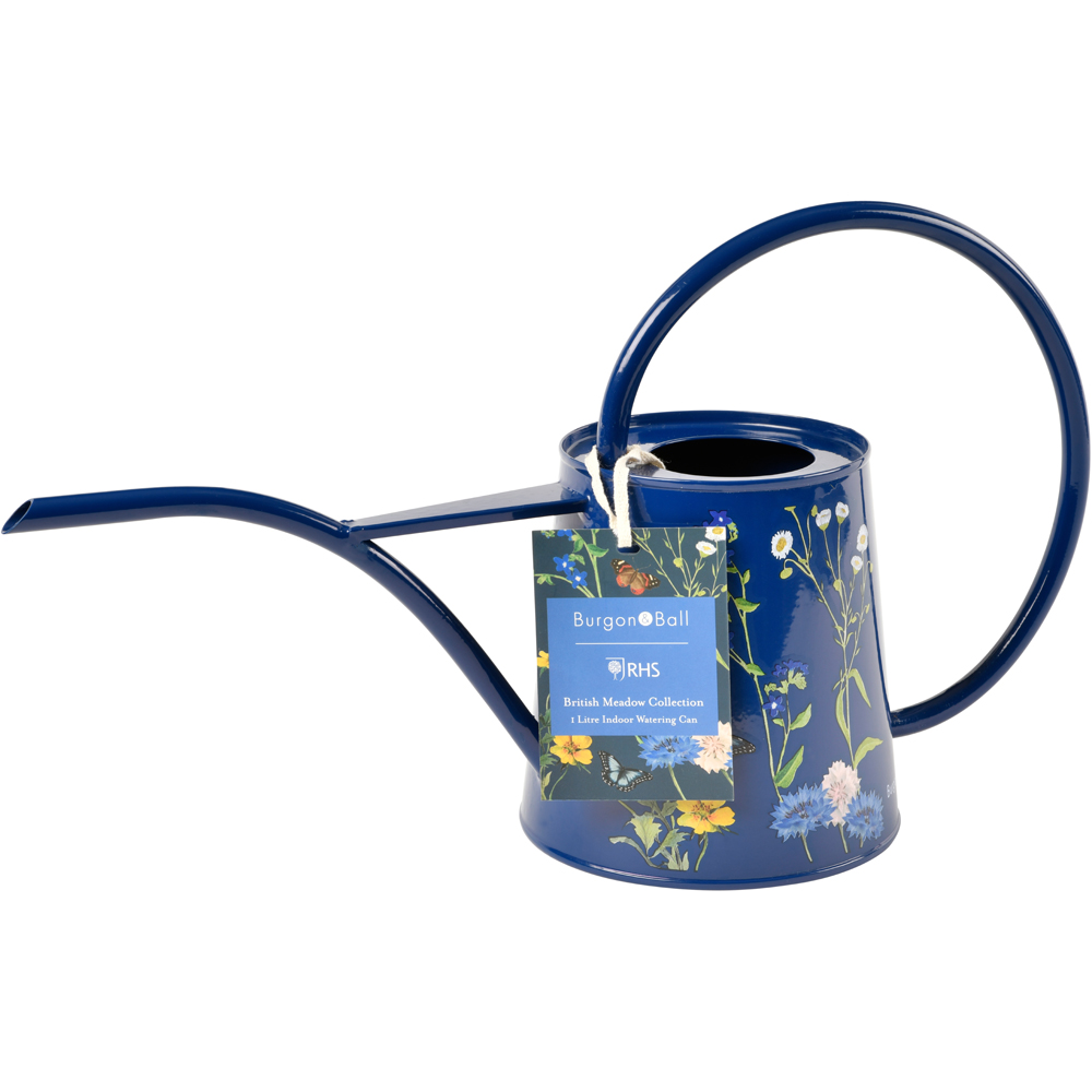 Burgon & Ball British Meadow Galvanised Steel Indoor Watering Can 1L Image 4