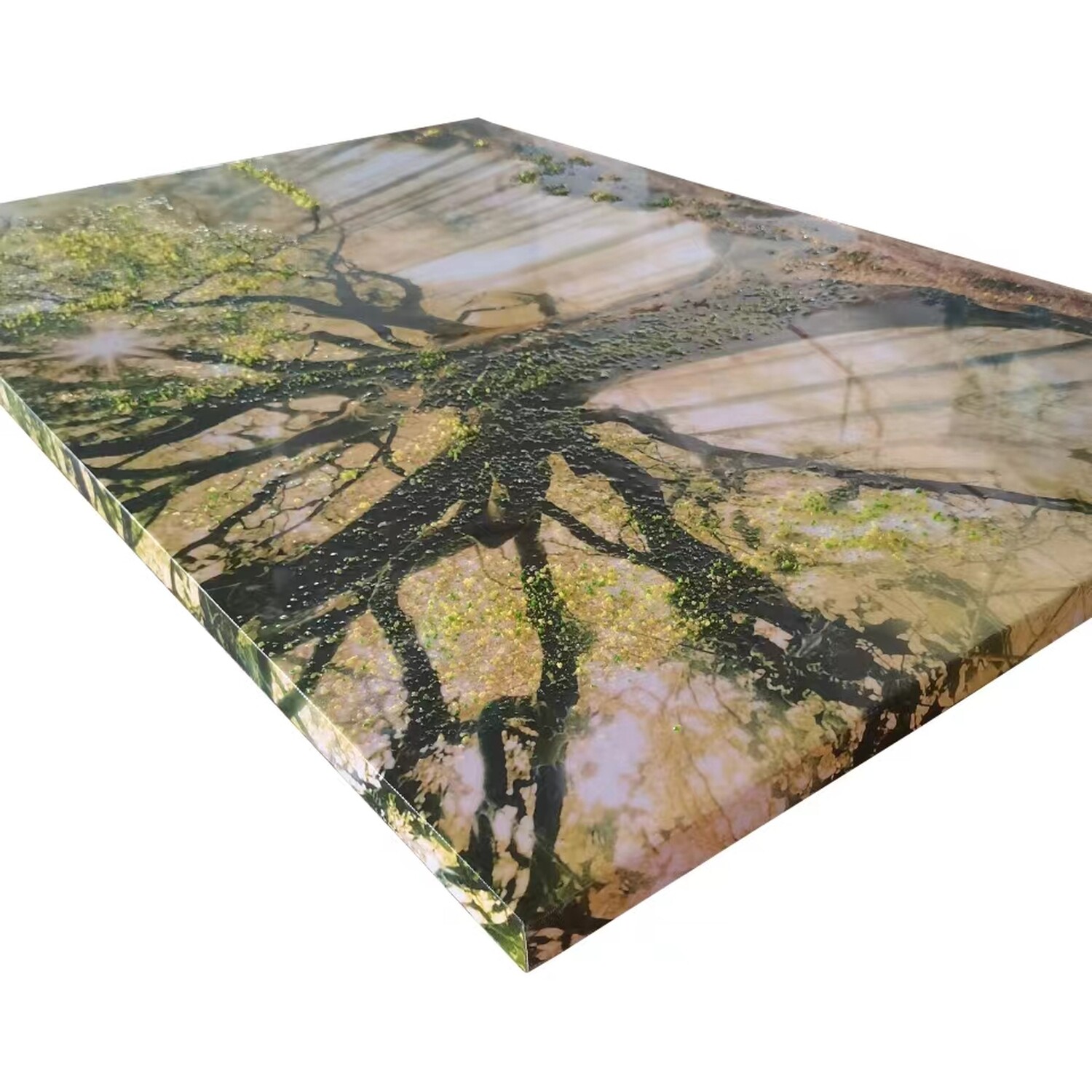 Sunlight Forest Gloss Canvas - Green Image 3