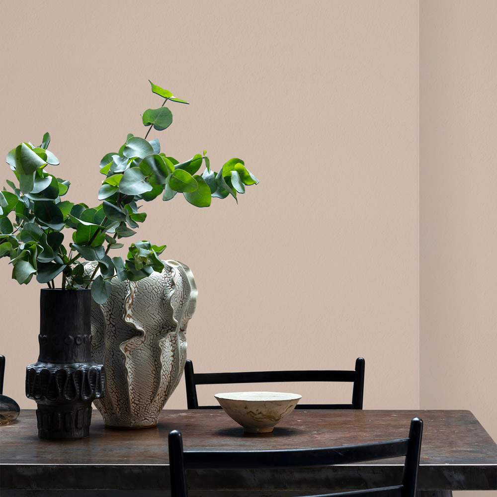 Craig & Rose Walls and Ceilings Pale Cashmere Chalky Emulsion Paint 5L Image 4