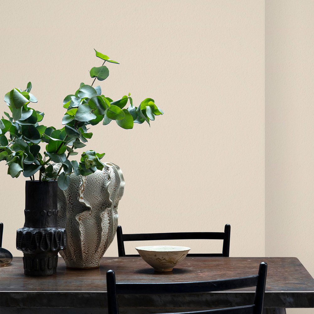 Craig & Rose 1829 Vintage Walls and Ceilings Hemp Beige Chalky Matt Emulsion Paint 2.5L Image 4