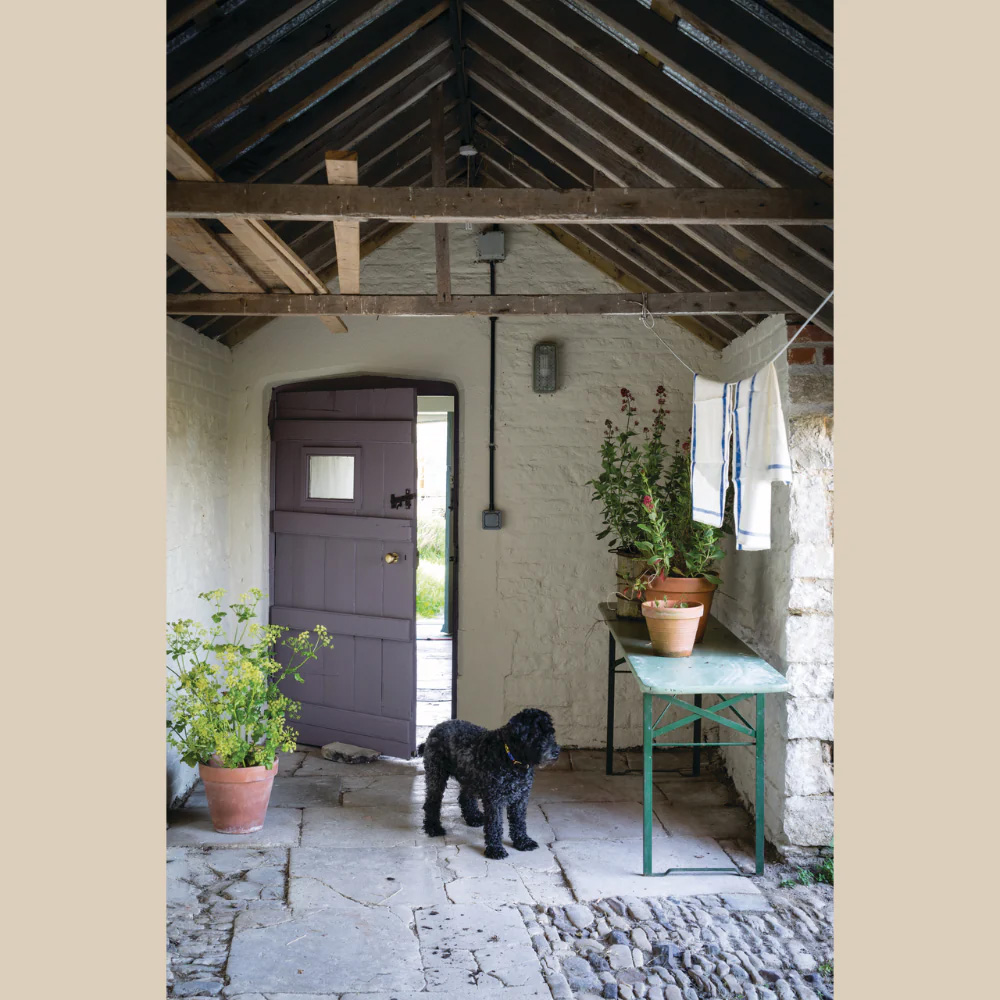 Farrow & Ball Joa's White Exterior Masonry Paint 5L Image 4