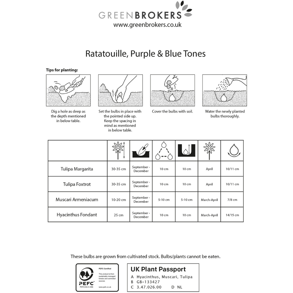 GreenBrokers Dutch Ratatouille Purple and Blue Tones Mixed Planting Bulb 30 Pack Image 3