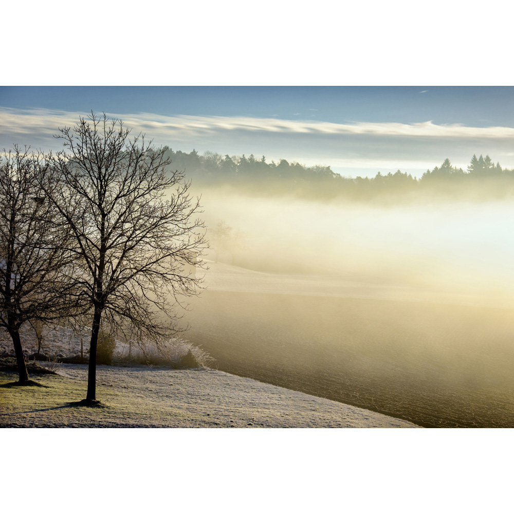 Mirrorstone Nexus Spring Morning Picture Wi-Fi Infrared Heating Panel 900W 795 x 1195mm Image 4