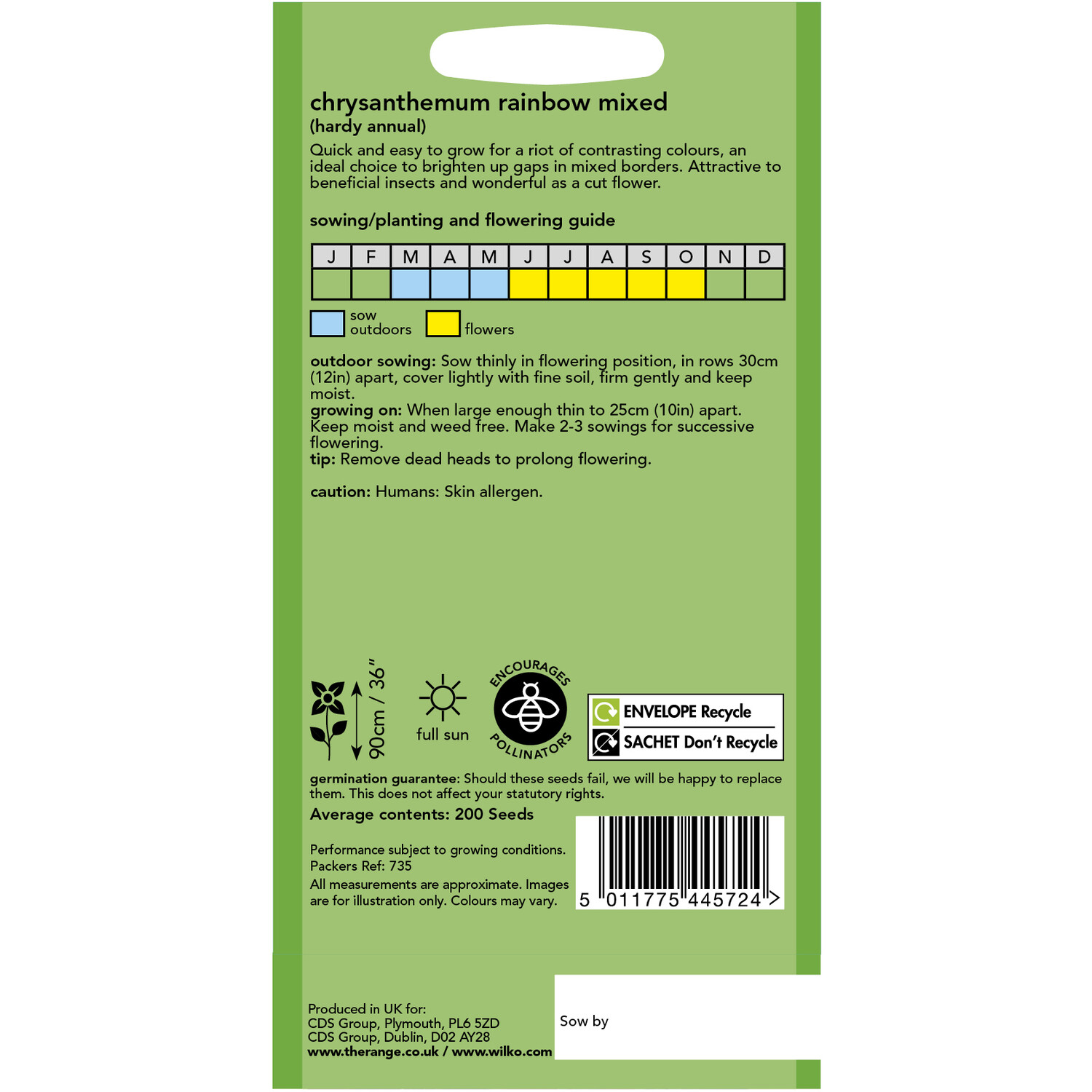 Wilko Chrysanthemum Rainbow Mixed Seeds Image 2