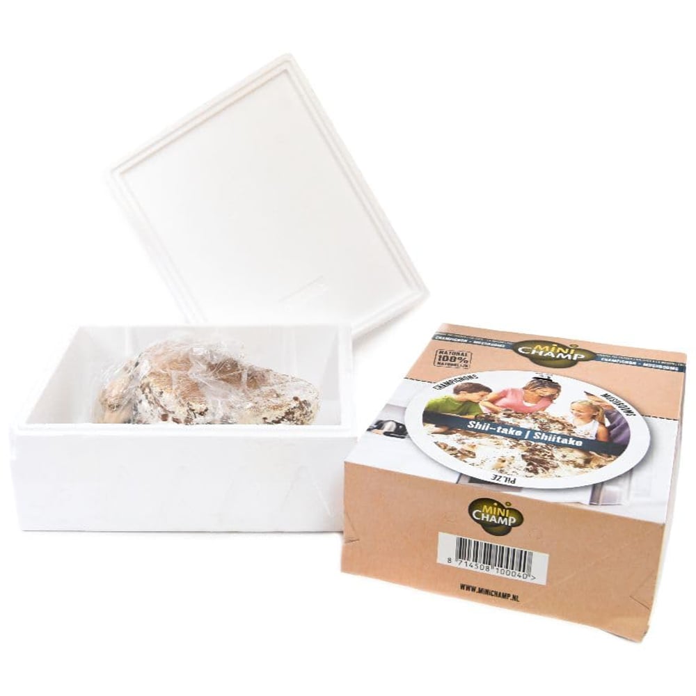 Thompson and Morgan Gift White Button Mushroom Prepack Windowsill Kit 3L Image 3
