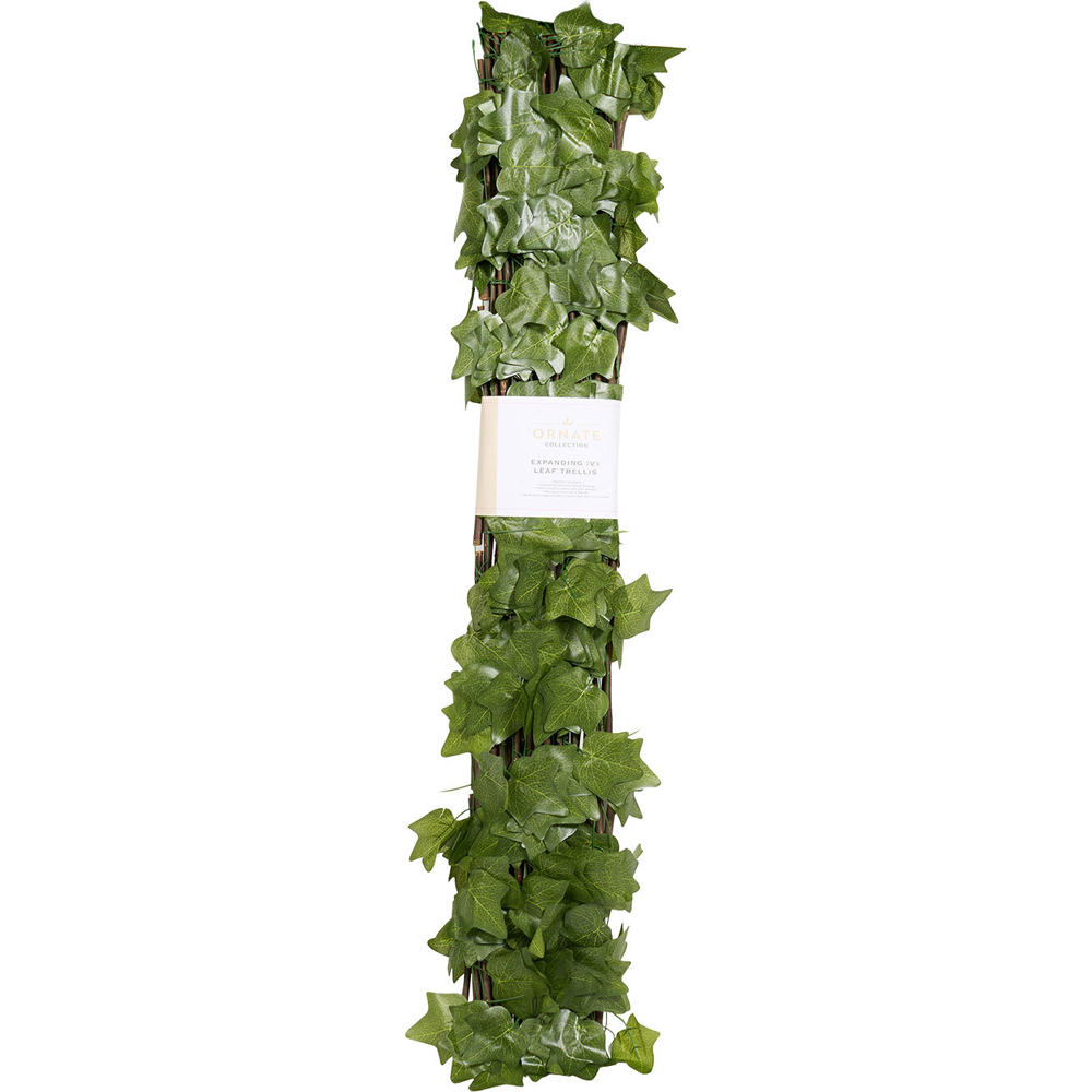 Expanding Ivy Leaf Trellis Image 2