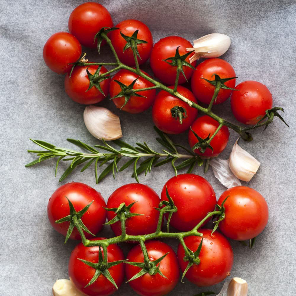 Thompson and Morgan Tomato Grafted Garden Favourite Collection Plant Pot 9cm 6 Pack Image 2