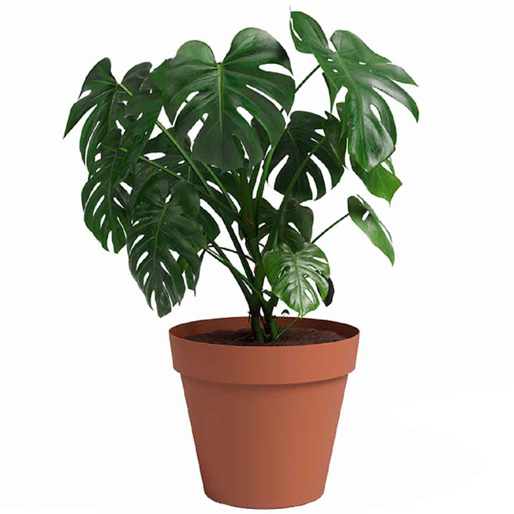 Artevasi Capri Terracotta Round Plastic Plant Pot 40cm Image 2