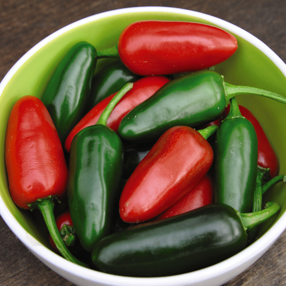 Thompson and Morgan Chilli Pepper Patio Collection Plant Pot 9cm 6 Pack Image 2