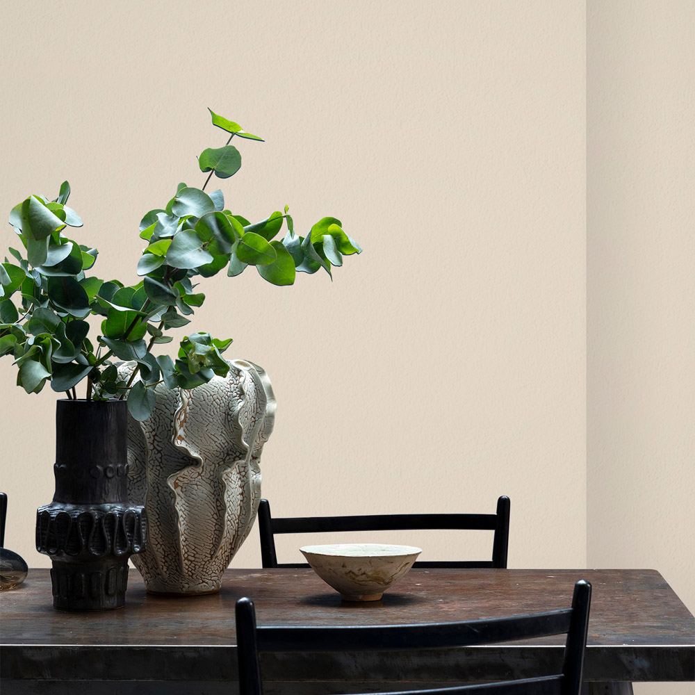 Craig & Rose Walls and Ceilings Hemp Beige Chalky Emulsion Paint 5L Image 4