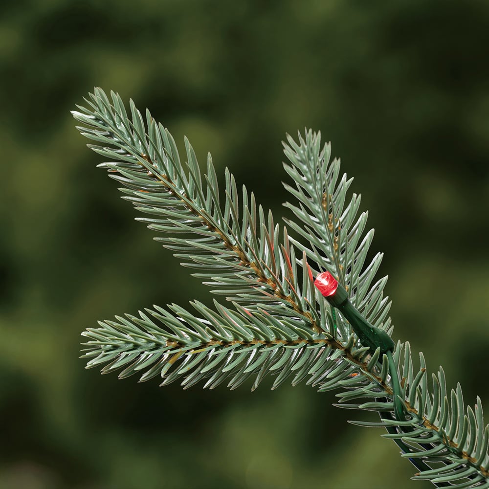 Evergreen Classics Baytown Fir Pre-lit Oxford Pine Artificial Christmas Tree 7ft Image 9