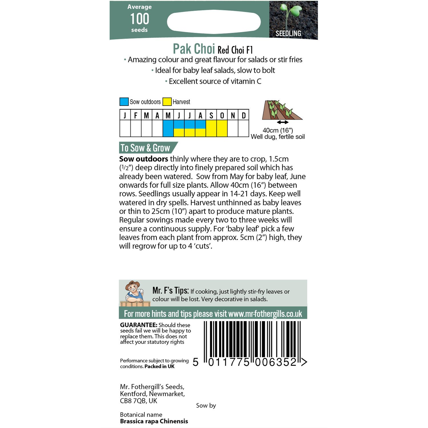 Pak Choi Red Choi F1 Image 2