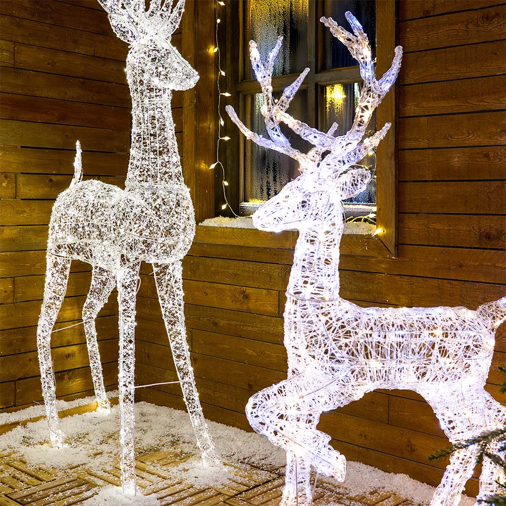 LED Clear Acrylic Stag Image 2