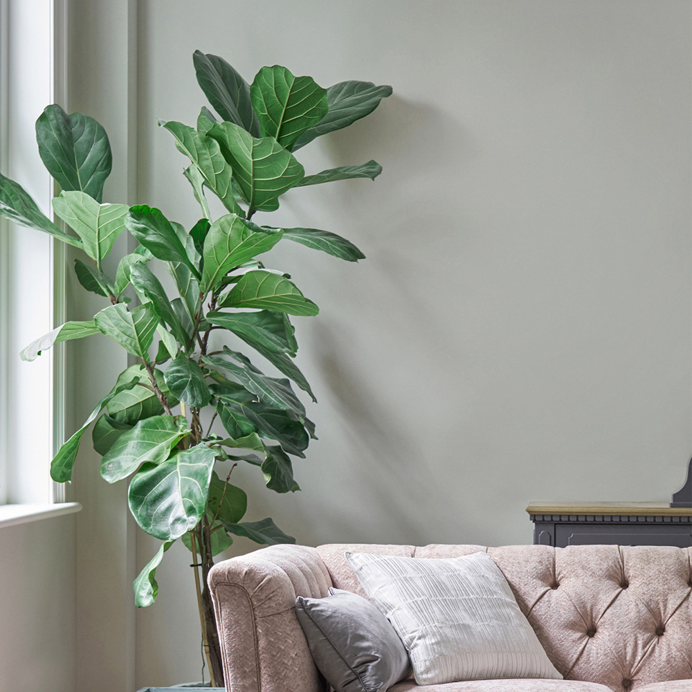 Laura Ashley Pale Sage Leaf Eggshell Paint 750ml Image 4