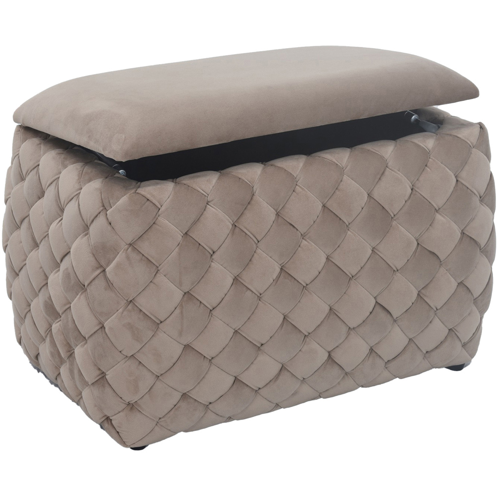 Artemis Home Plumeo Mole Velvet Storage Ottoman Image 2