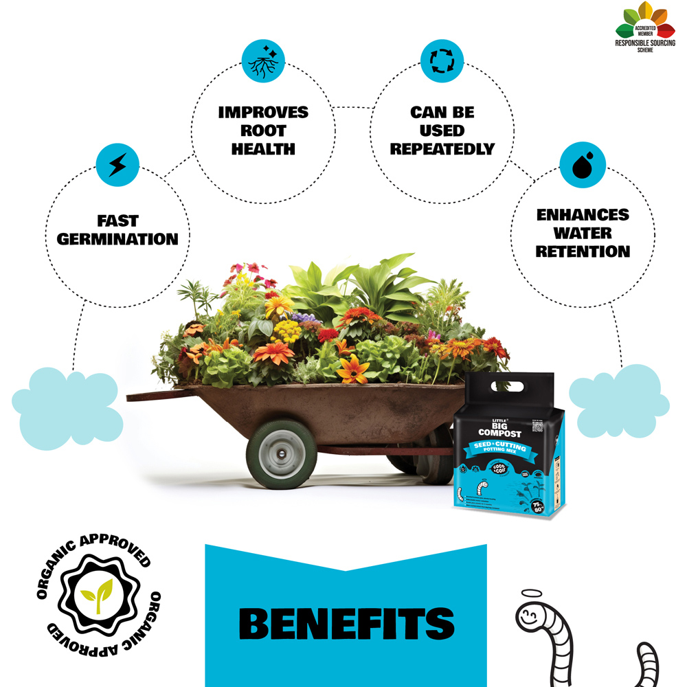 Coco & Coir Little Big Compost Seed and Cutting Compost 75L Image 4