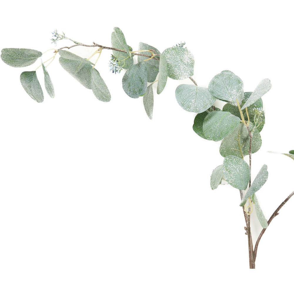 Shimmer Silver Dollar Stem Image 3