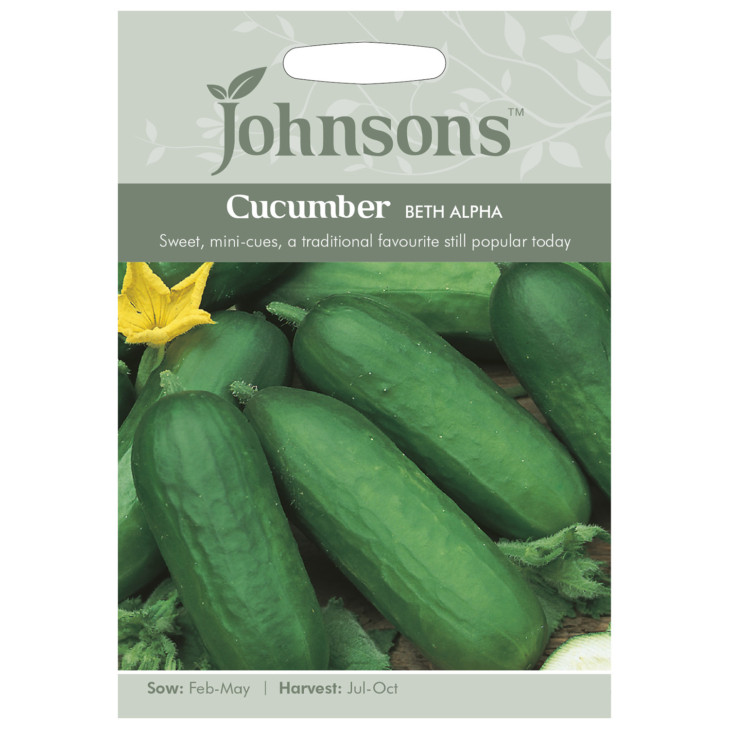 Cucumber Beth Alpha Image 1