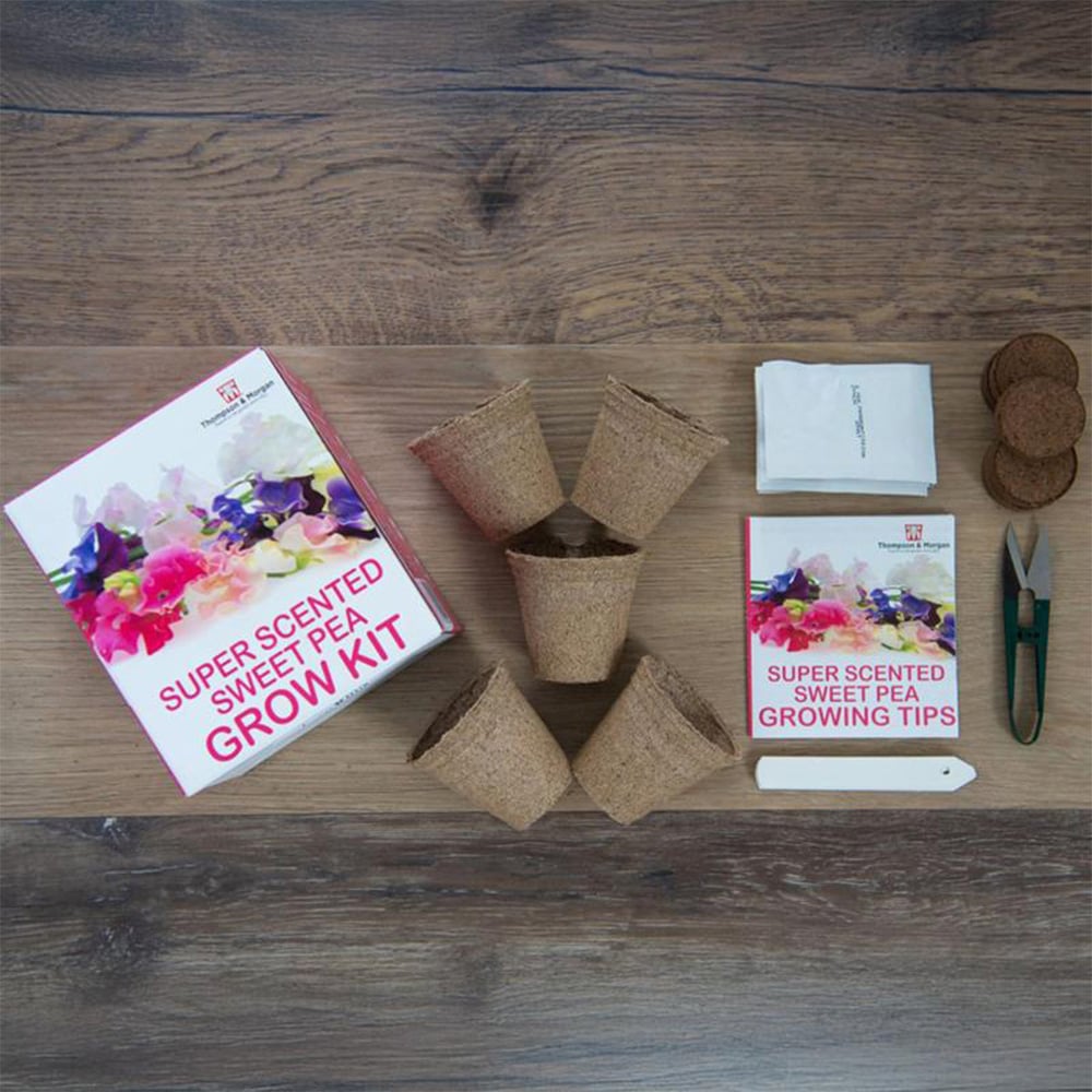 Thompson and Morgan Sweet Peas Seed Growing Kit Image 9