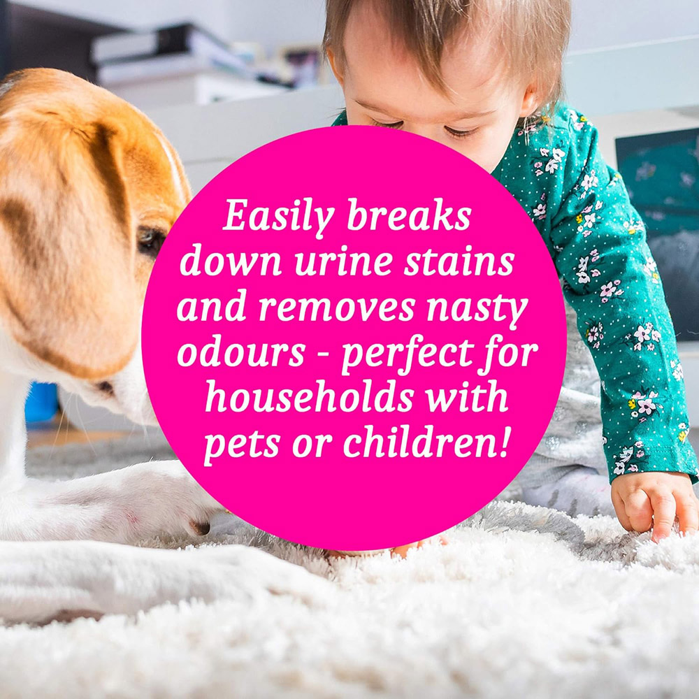 Homefront Floral Carpet Shampoo 5L Image 3