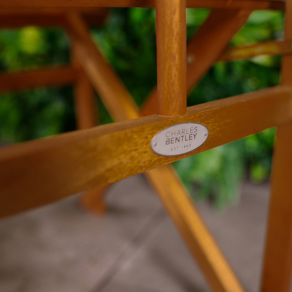 Charles Bentley Eucalyptus Pair Director Chair Cream Image 8