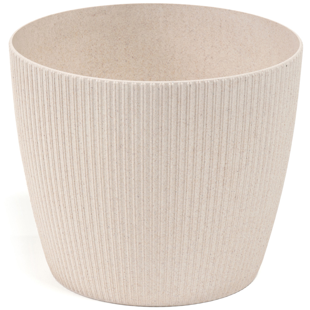 YouGarden Never Never Plant with Off White Recycled Pot Cover 12cm Image 3