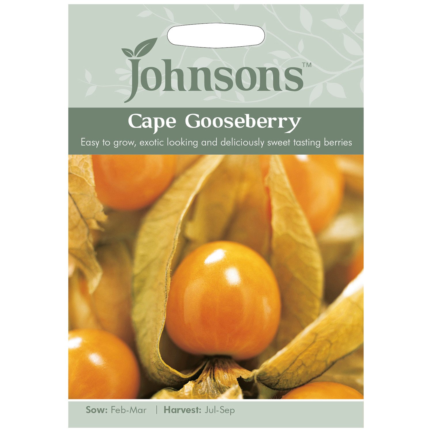 Johnsons Cape Gooseberry Physalis Peruviana Image