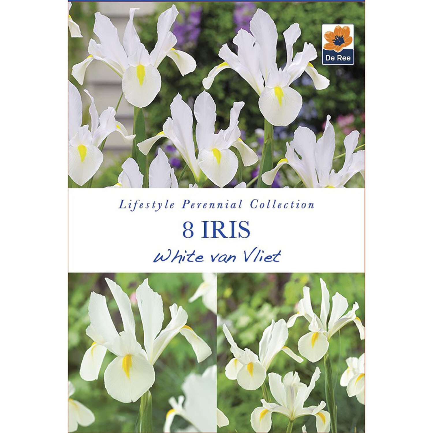 Lifestyle Perennial Bulbs Collection Image 2