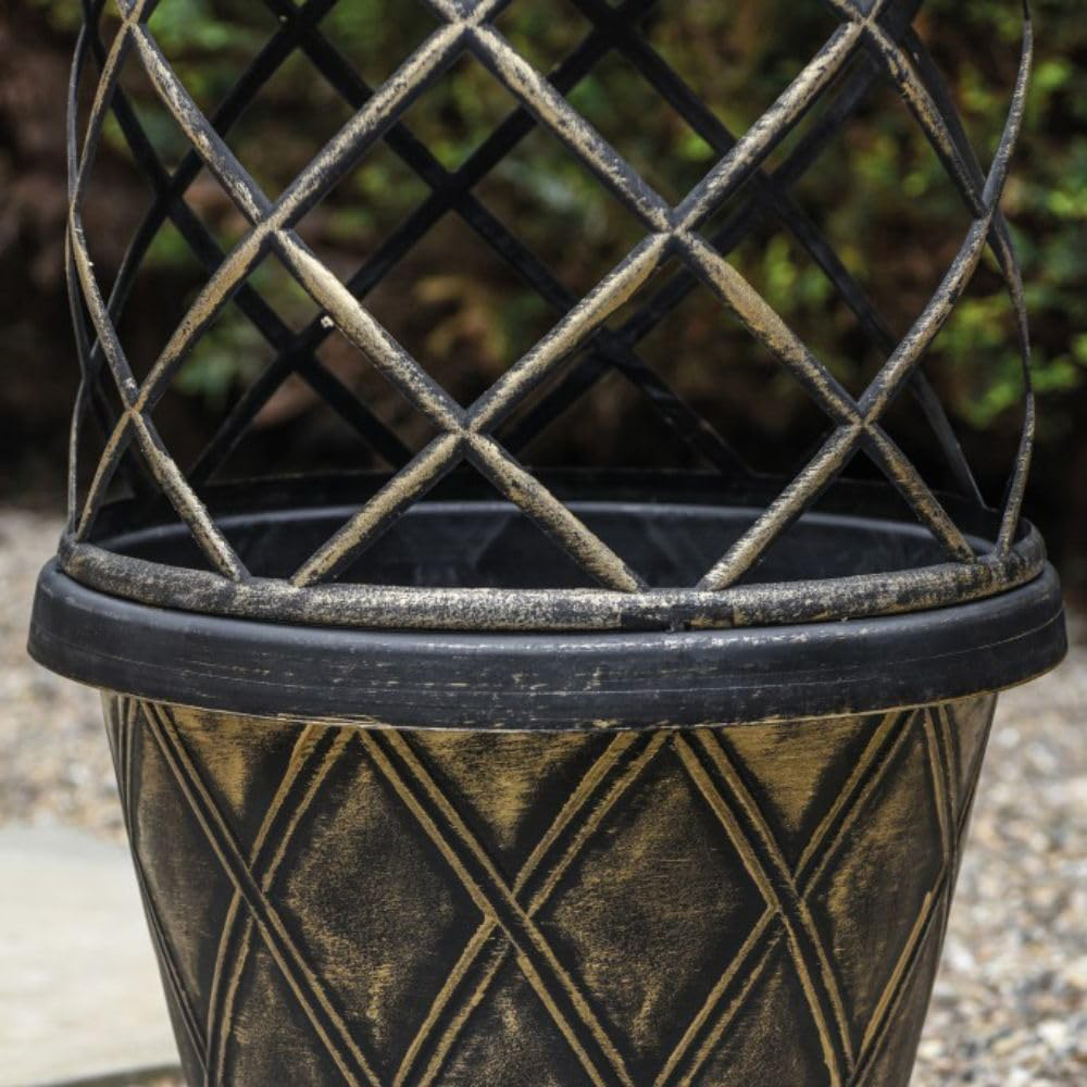 Thompson and Morgan Clematis Montana Mayleen Plant Pot 7cm with Tower Pot Kit Image 6