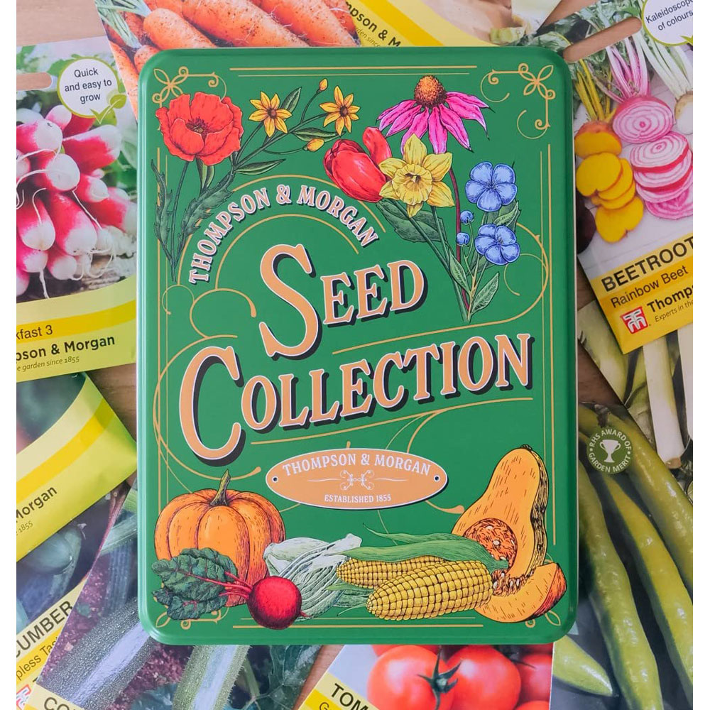 Thompson & Morgan Hard Good Seed Collection Tin with Veg Seed Image 2