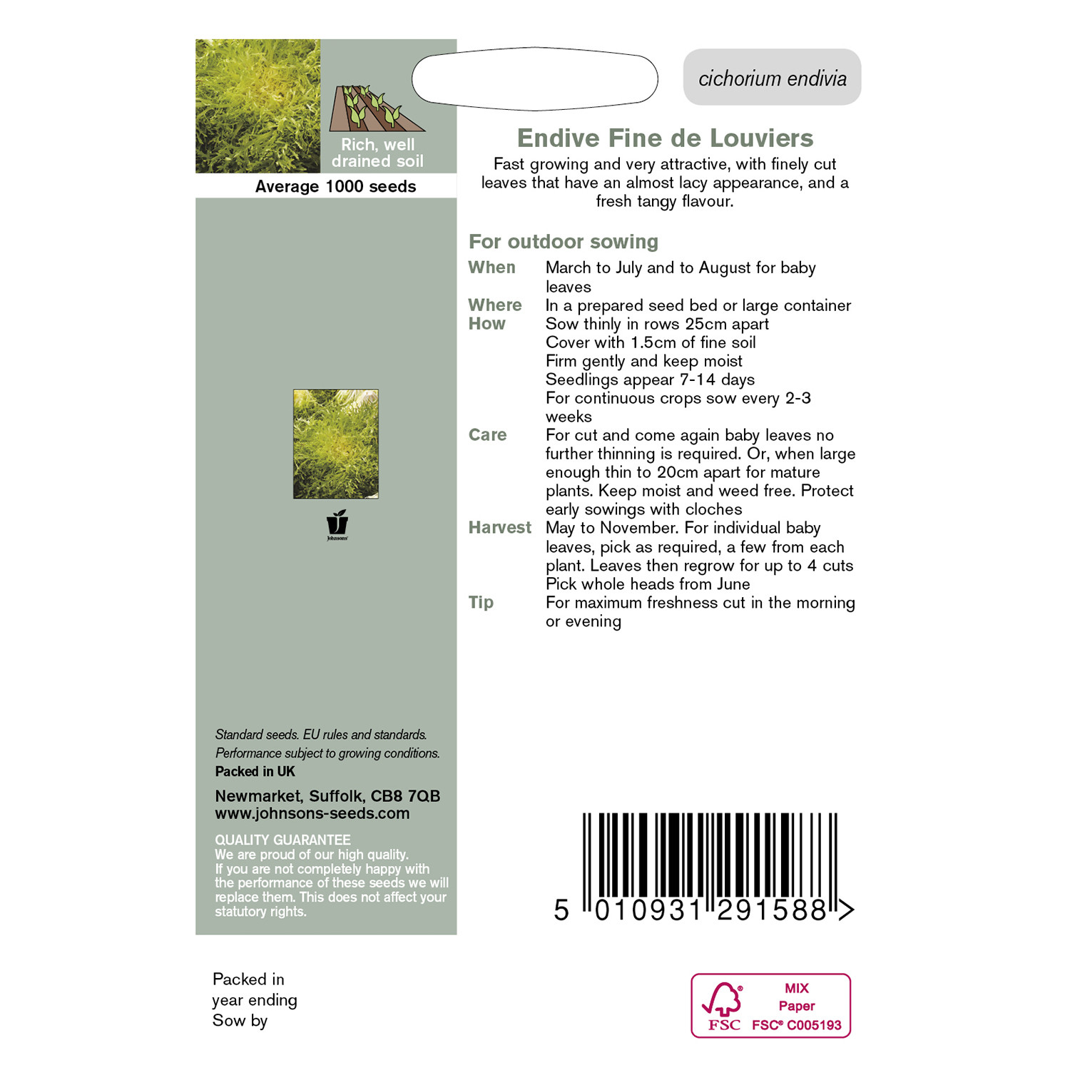 Johnsons Endive Fine De Louviers Image 2