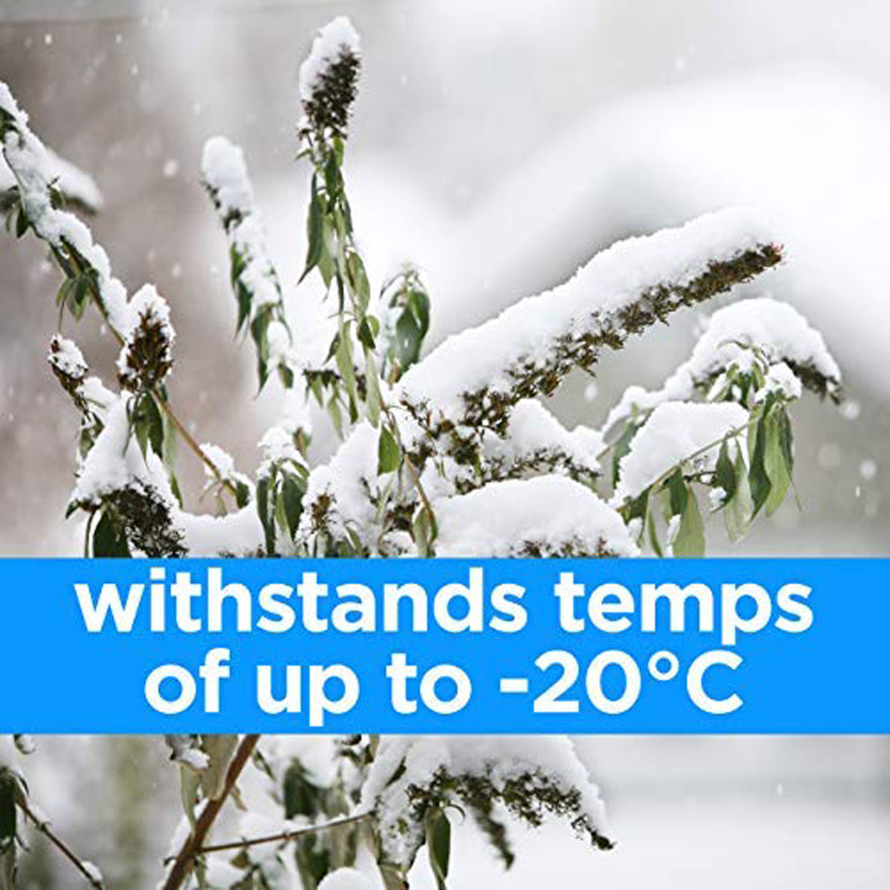 Thompson and Morgan Buddleja Tricolour Plant Pot 2L 2 Pack Image 6