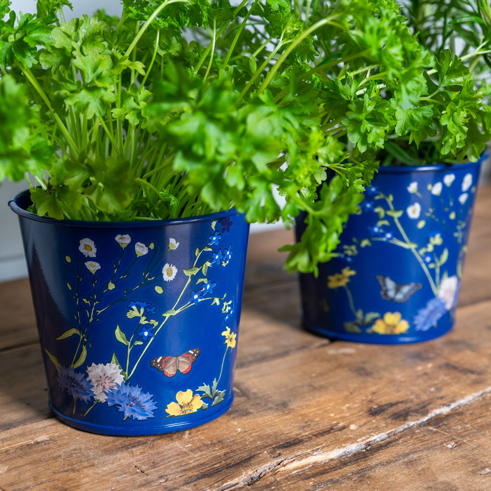 Burgon and Ball New RHS British Meadow Herb Pot 2 Pack Image 2