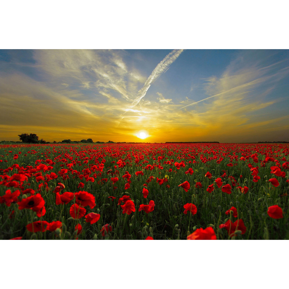 Mirrorstone Nexus Setting Sun Image Wi-Fi Infrared Heating Panel 900W 795 x 1195mm Image 4