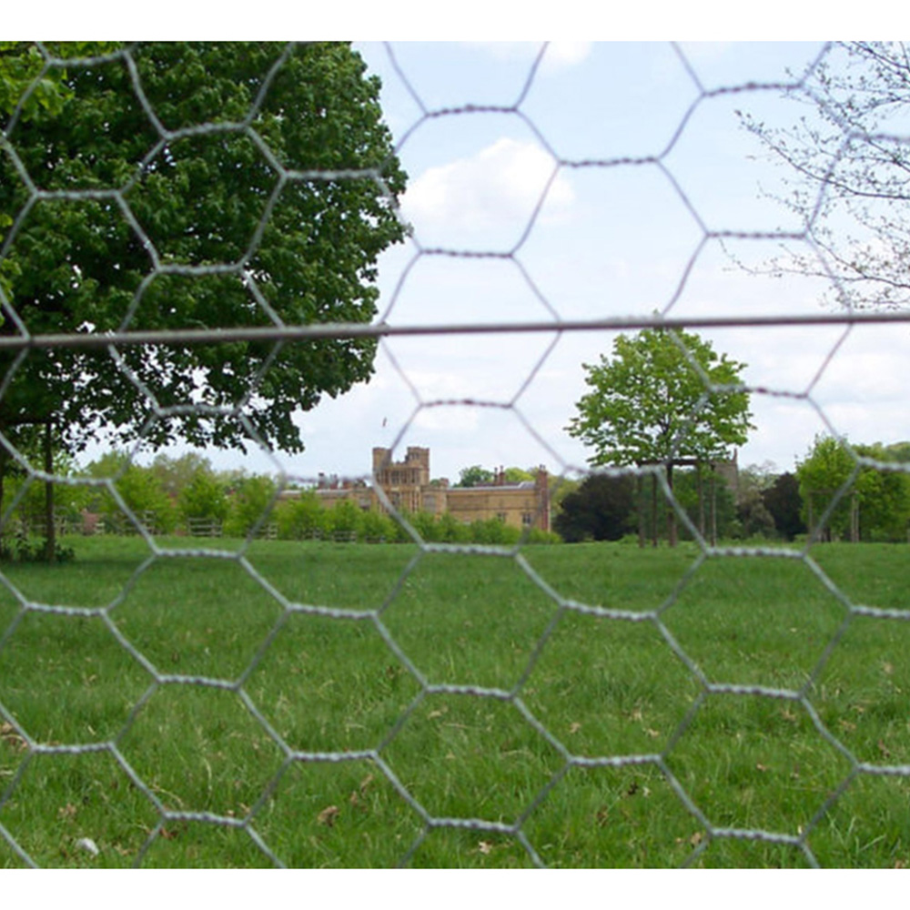 Inspirational Gifting Galvanised Mild Steel Line or Straining Wire Roll 250m x 4mm Image 4
