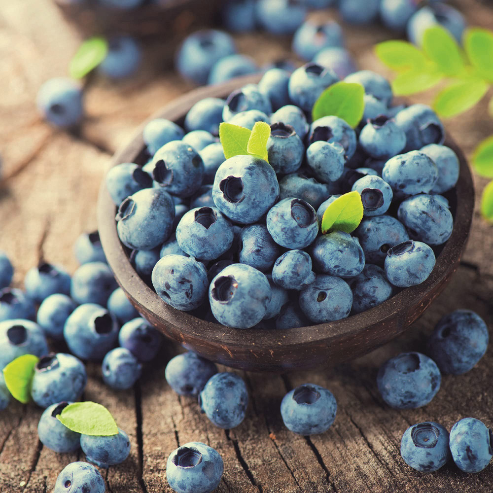 Thompson and Morgan Vaccinium Corymbosum Darrow Plant Pot 3L 2 Pack Image 2