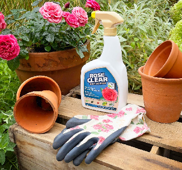 Pest &amp; Insect Control