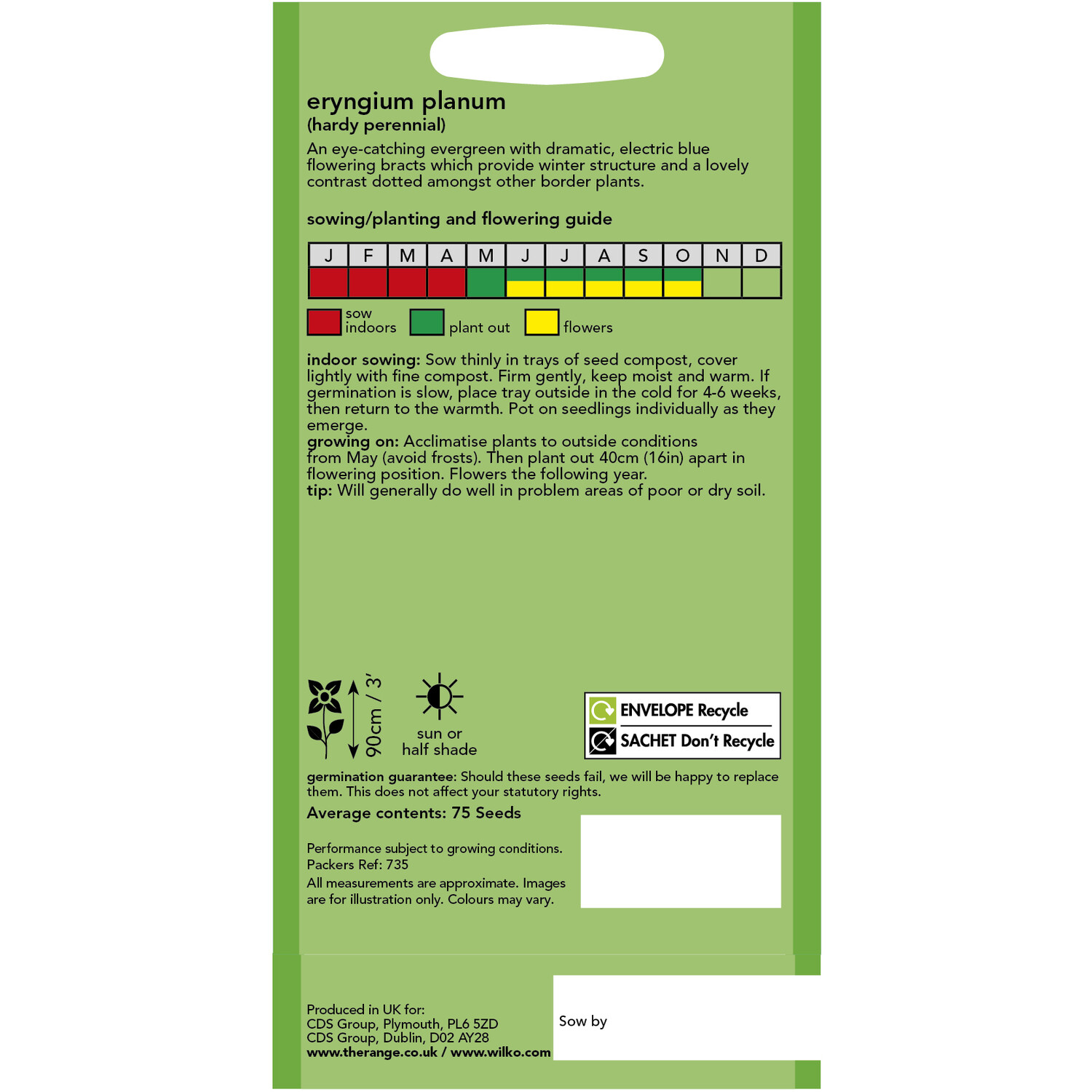 Wilko Eryngium Planum Seeds Image 2