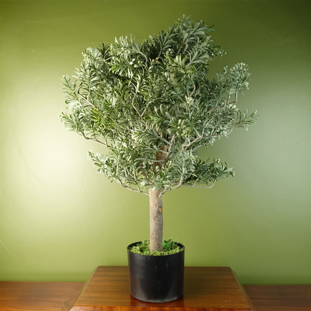 Botanik Large Artificial Boxwood Style Artemisa Topiary Plant 14cm Image 2